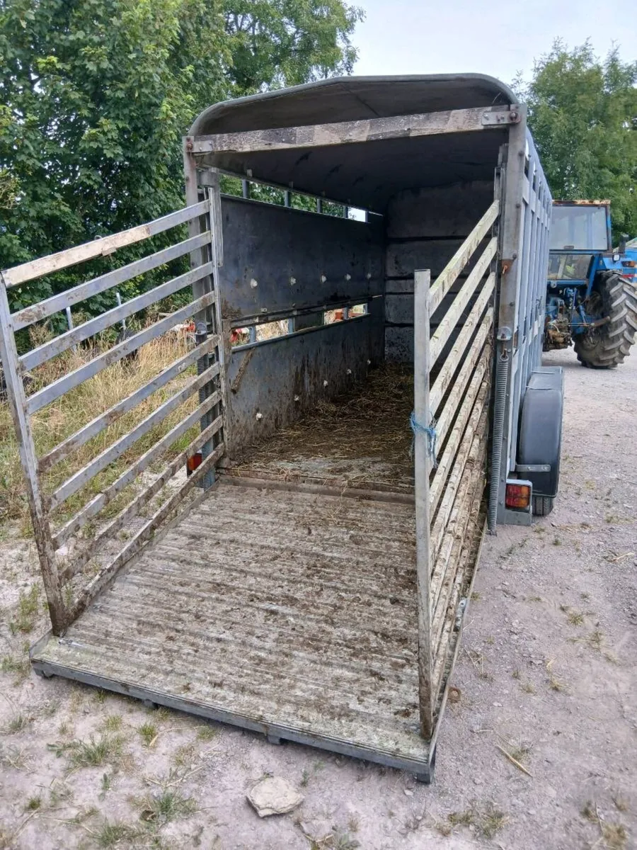 Ifor Williams 12ft x 5ft cow box - Image 4