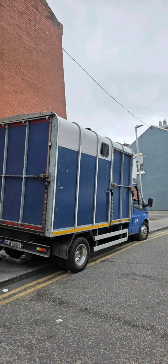 2006 ford transit horse van - Image 3