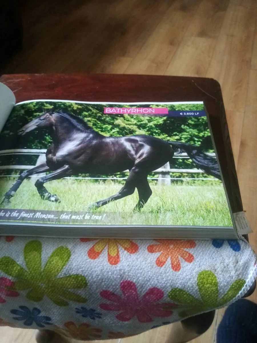 Book - Image 2