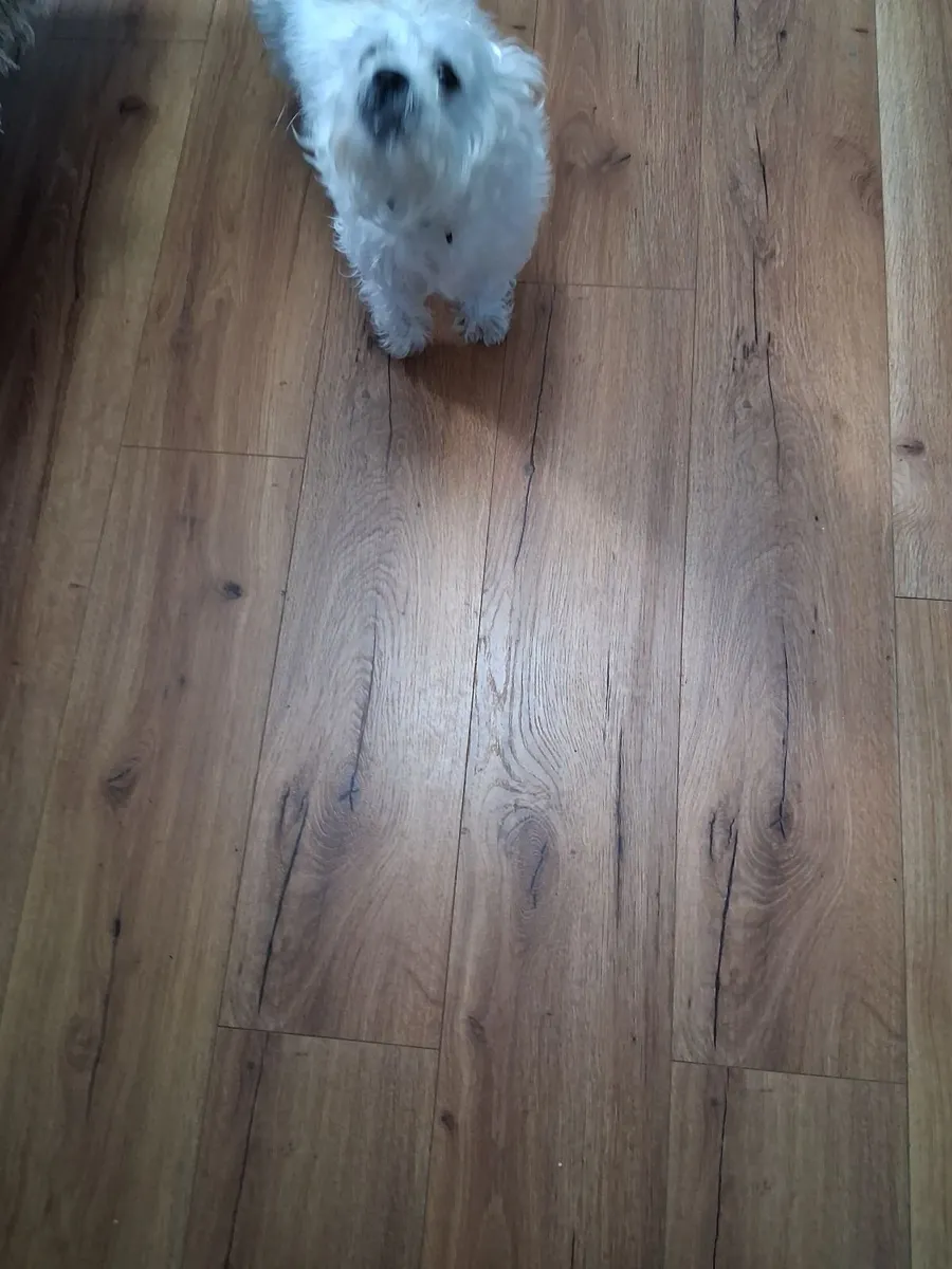 Flooring. - Image 2