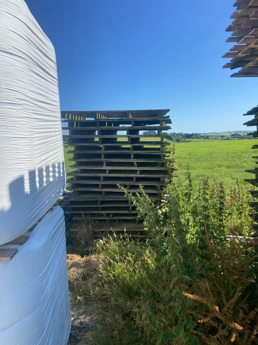 pallets - Image 3