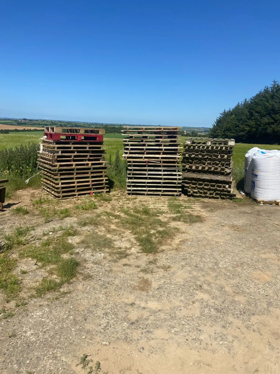 pallets - Image 2