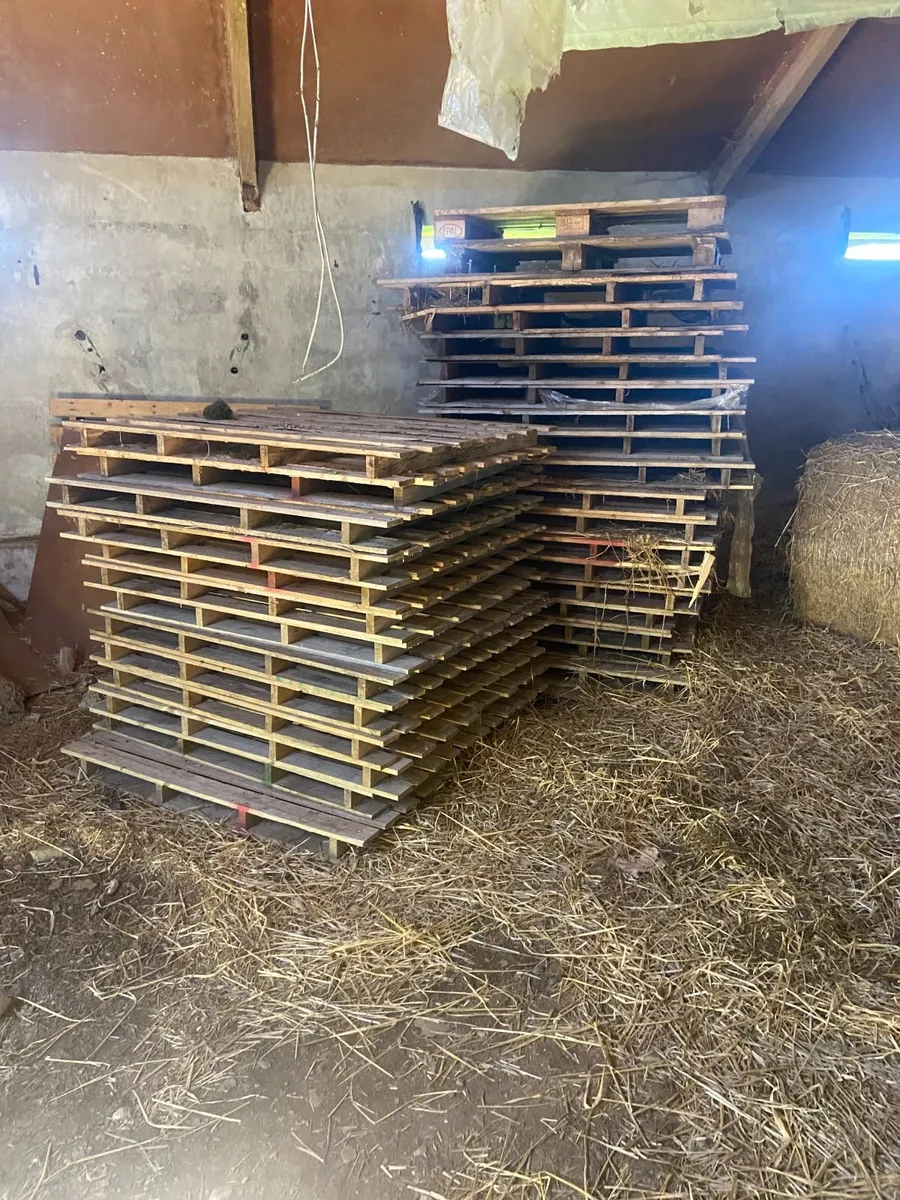 pallets - Image 4