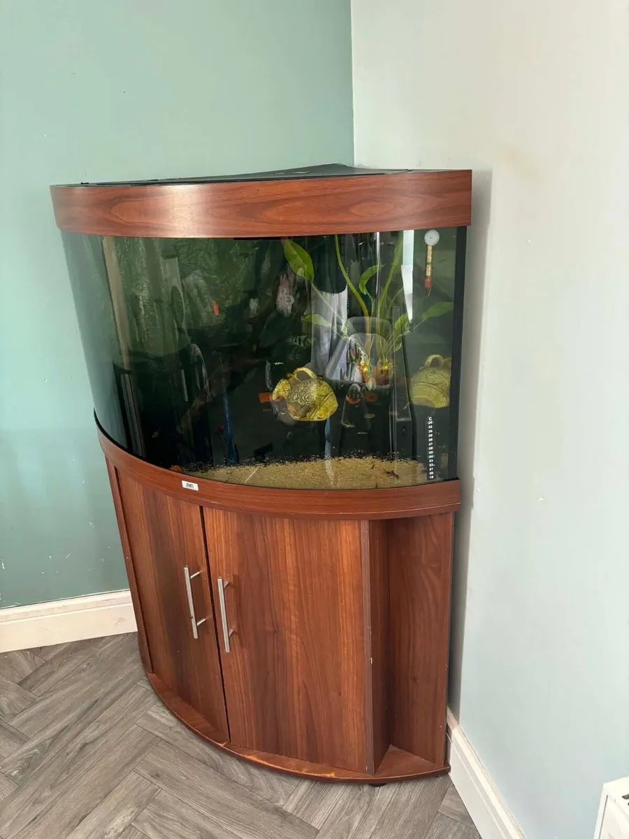 Corner Fish tank - Image 2