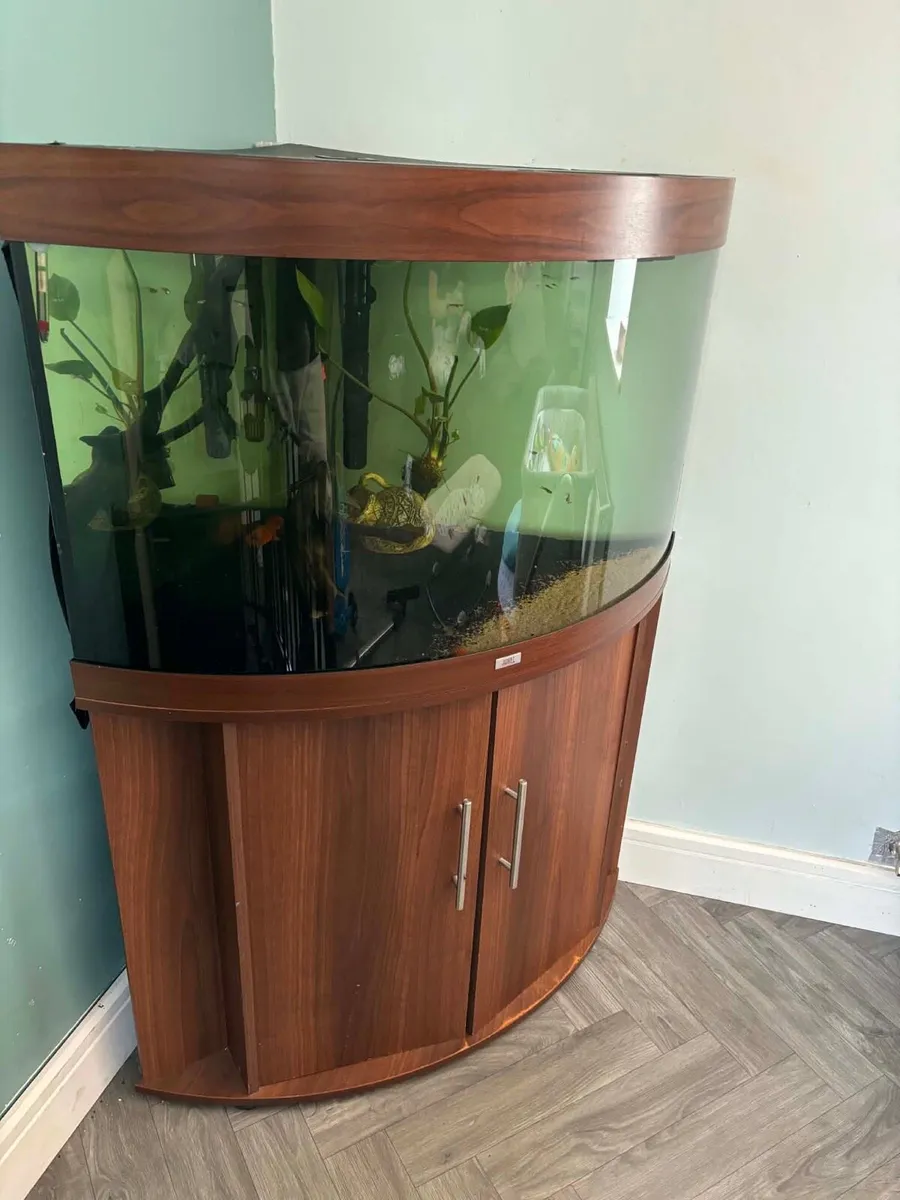 Corner Fish tank - Image 3