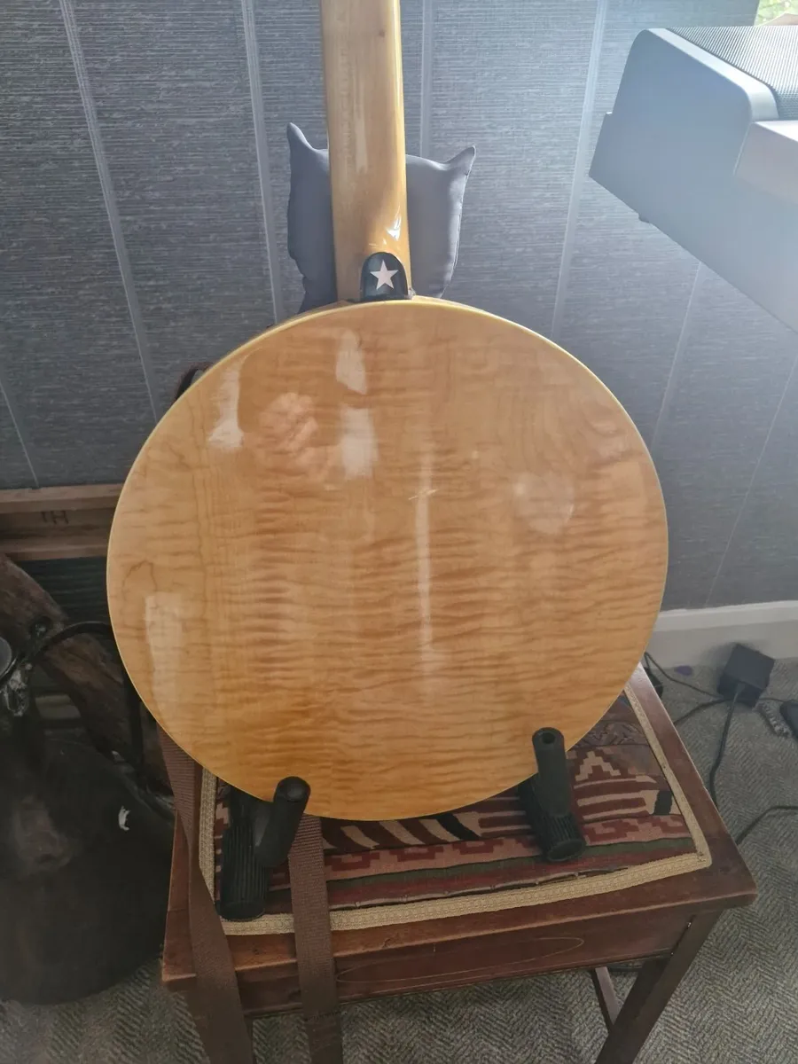 Sully 5 string banjo - Image 4