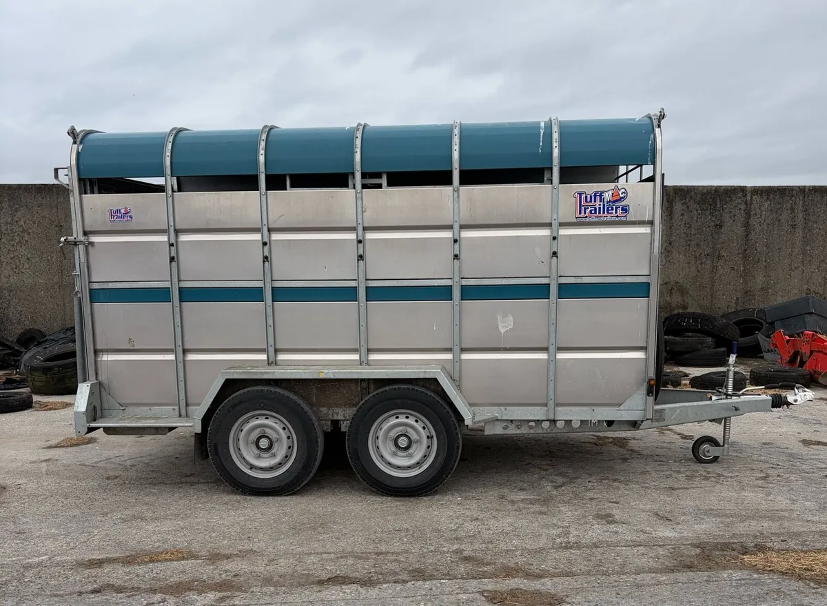 Tuffmac Cattle Trailer - Image 1