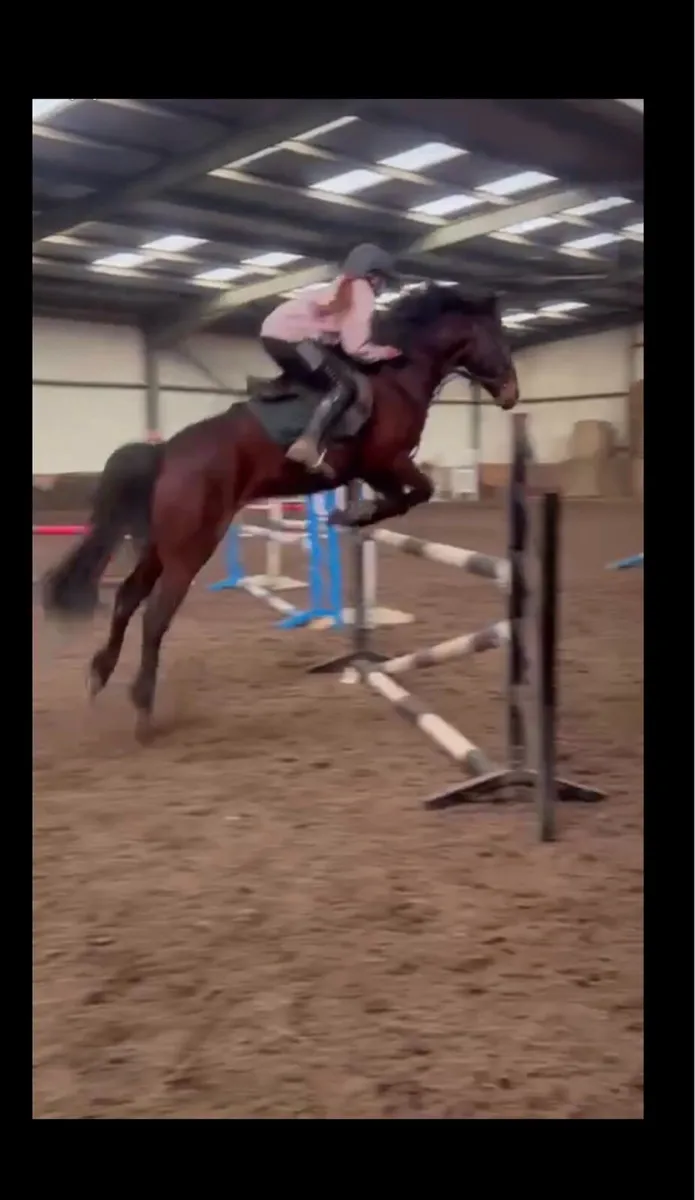 Pony - Image 2
