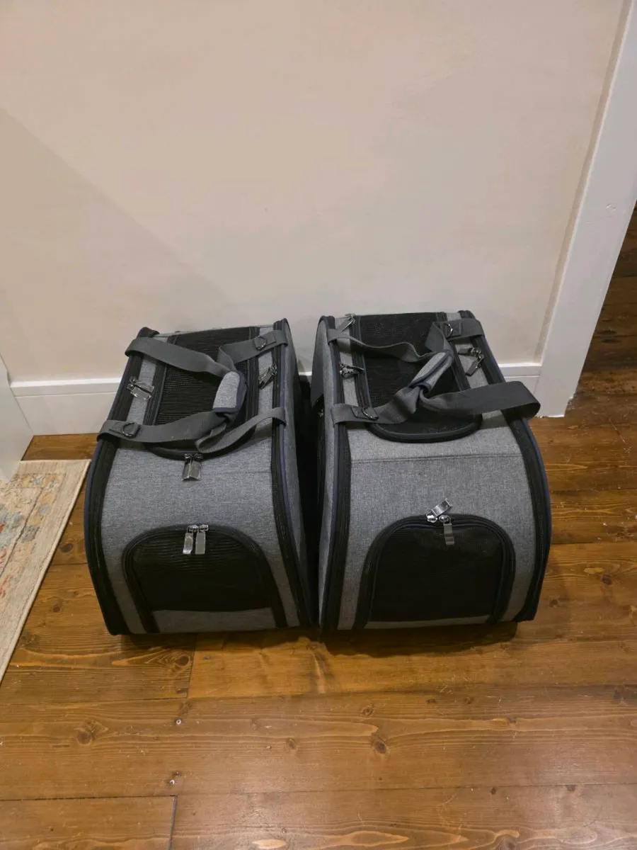 Cat Carrier x 2 - Image 1