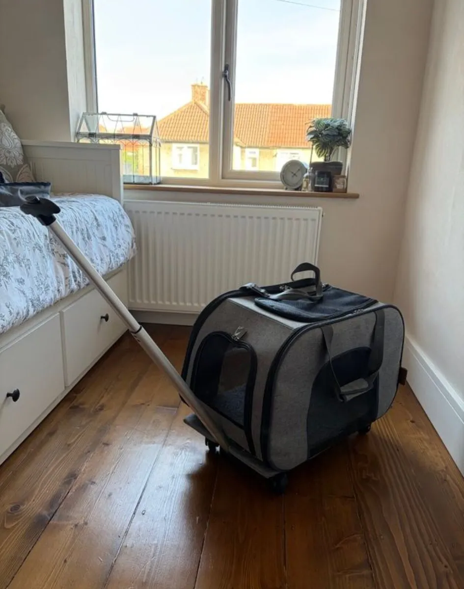 Cat Carrier x 2 - Image 2
