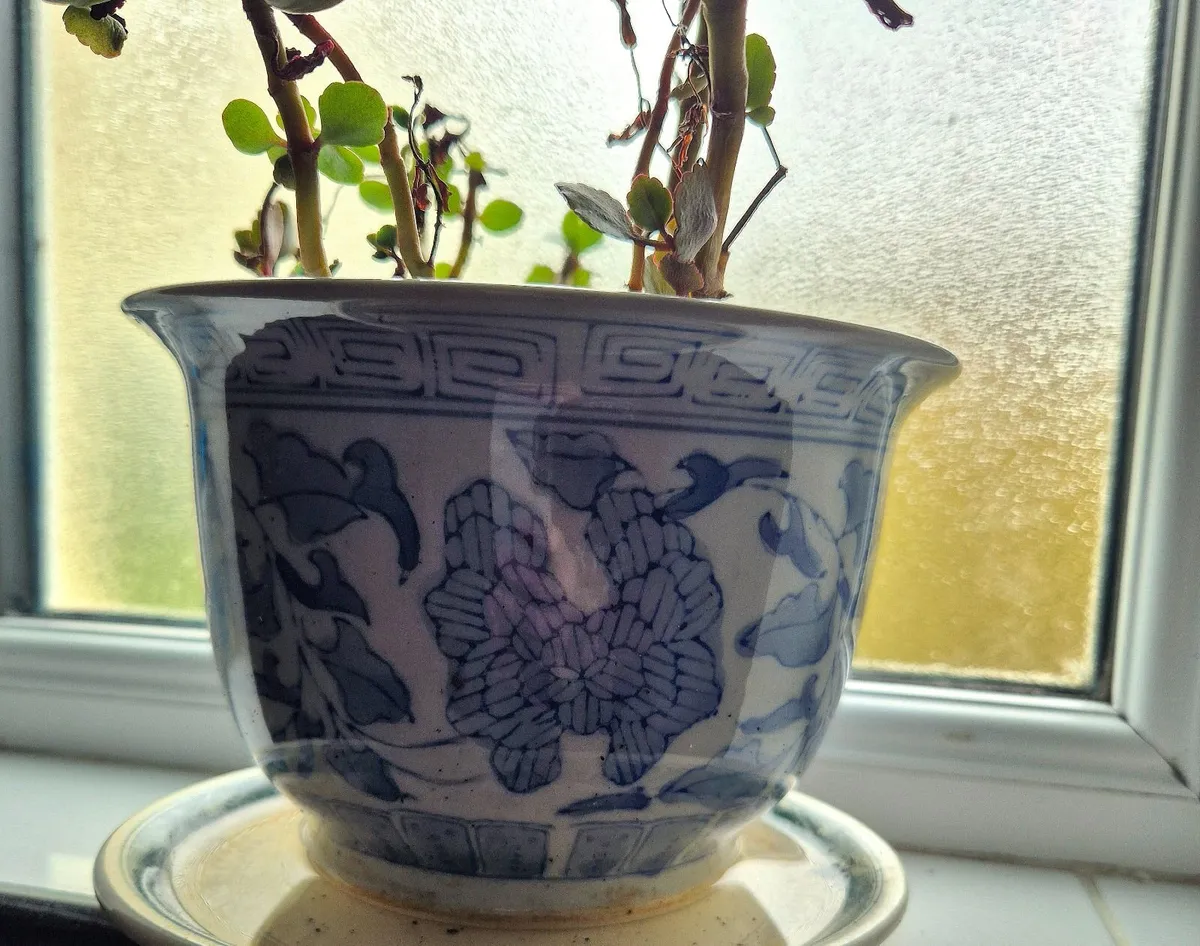 Ceramic pots - Image 2
