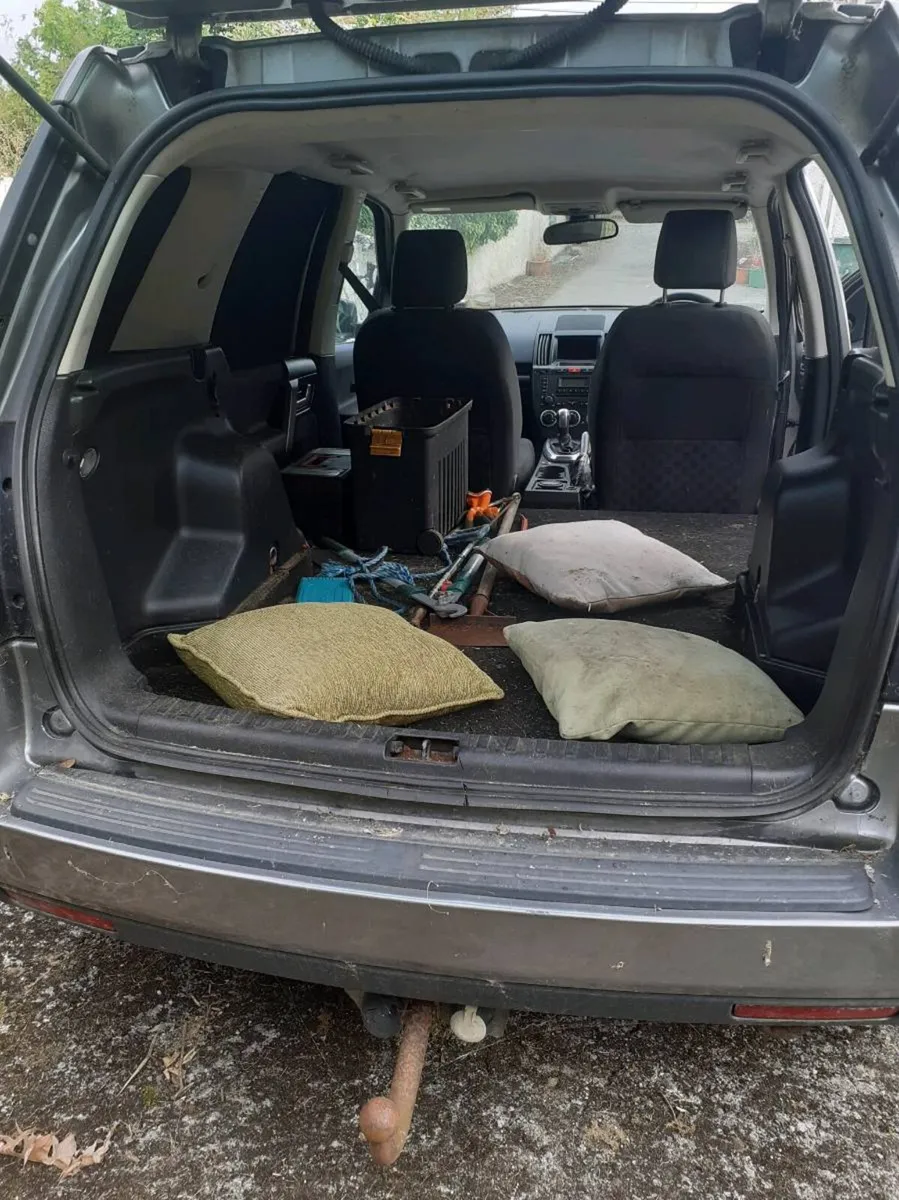 Freelander - Image 4