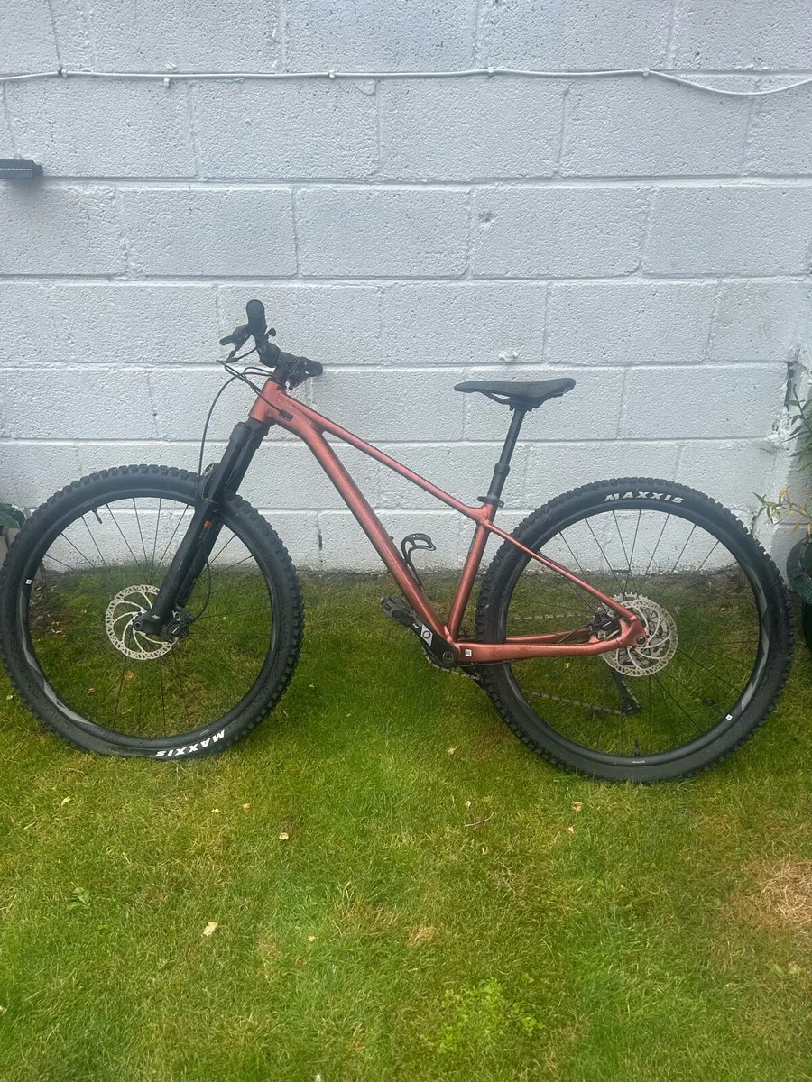 Mountain bike - Image 1