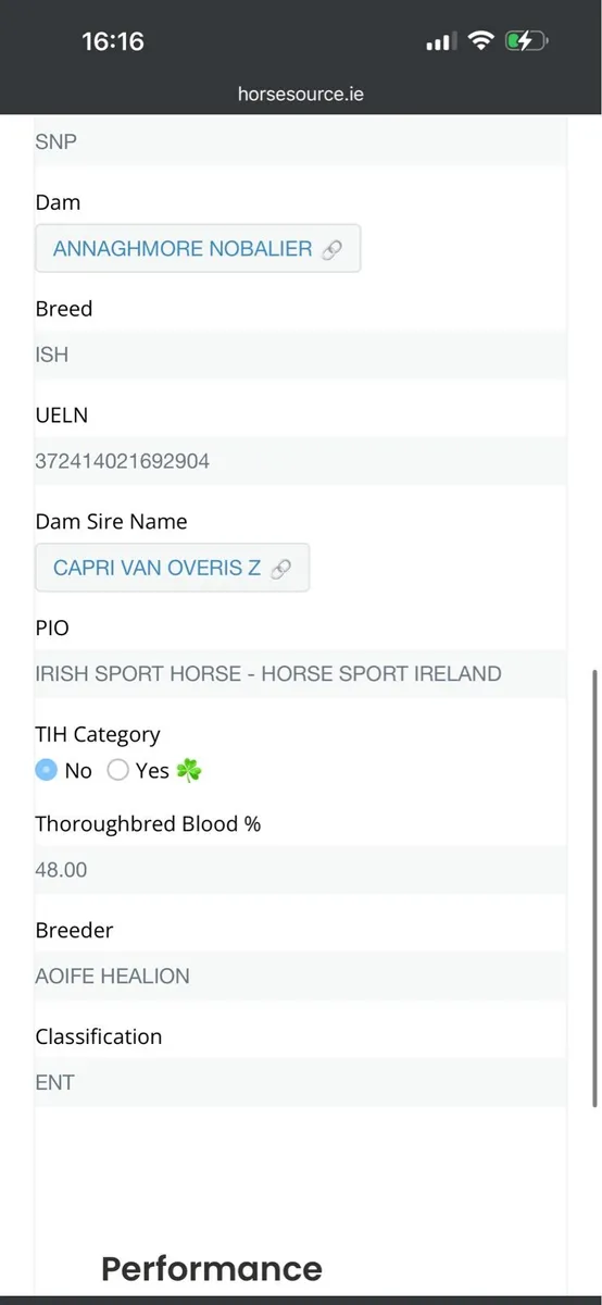 Gelding by Madgeslane Luidam - Image 2