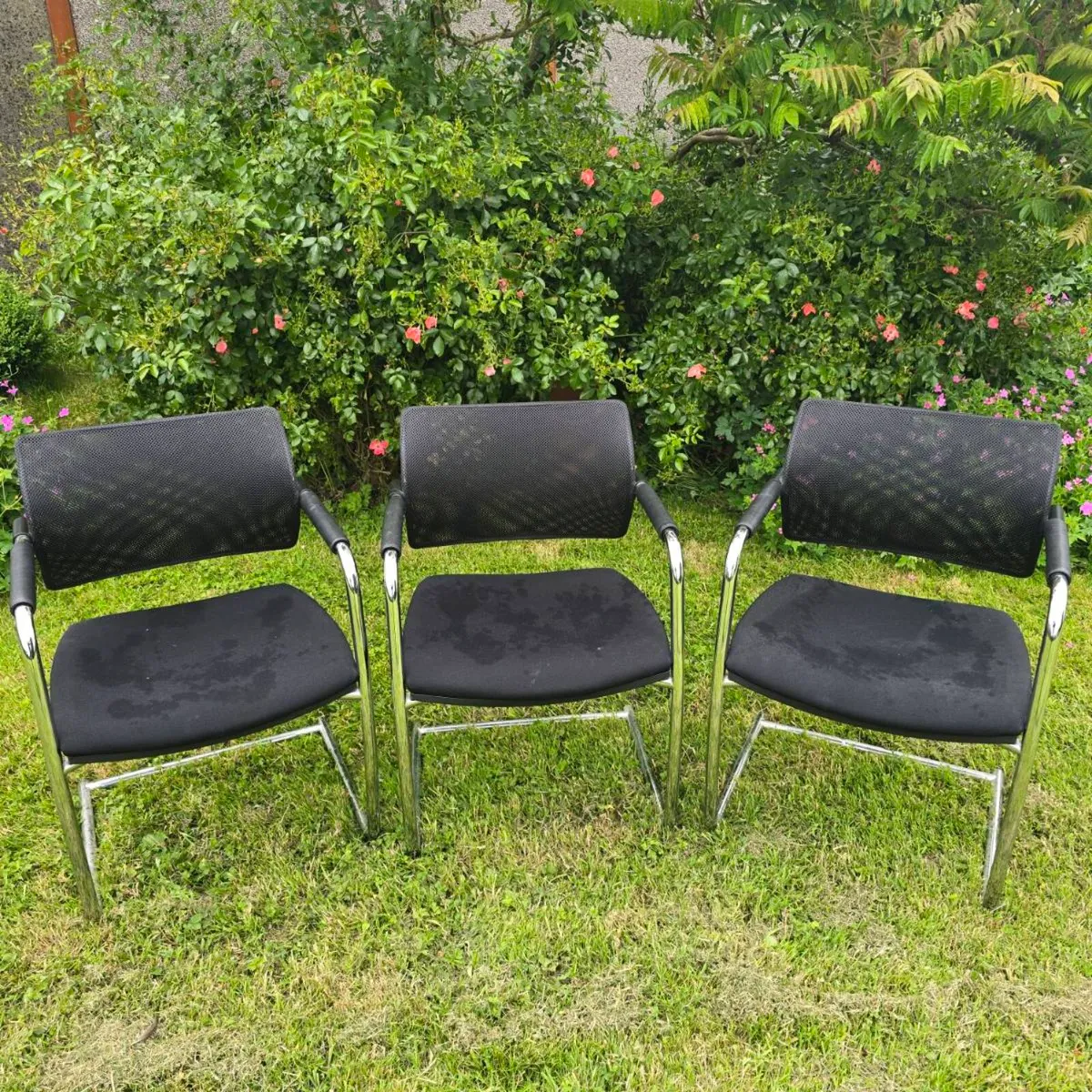 Second hand chairs - Image 3