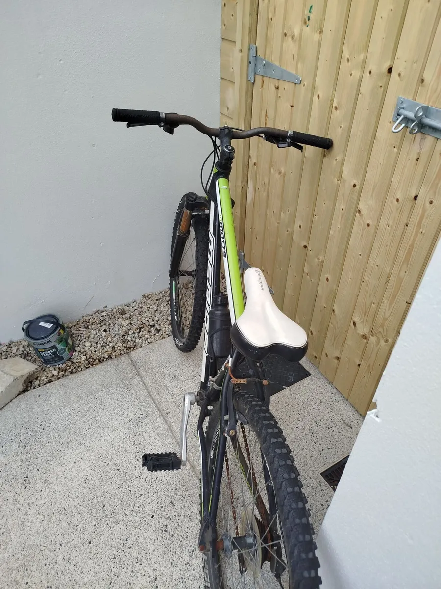 Mountain Bike - Image 2