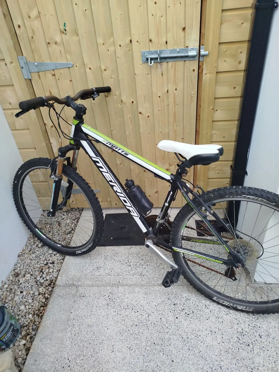 Mountain Bike - Image 1