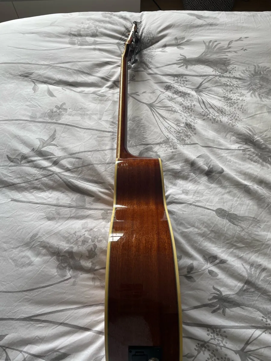 Richwood Artist Series Acoustic Bass Guitar - Image 4