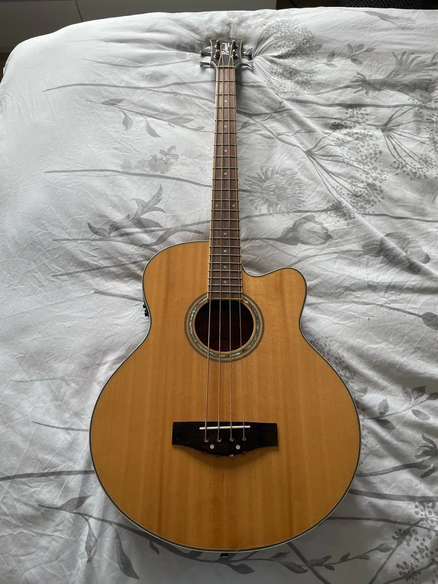 Richwood Artist Series Acoustic Bass Guitar - Image 1
