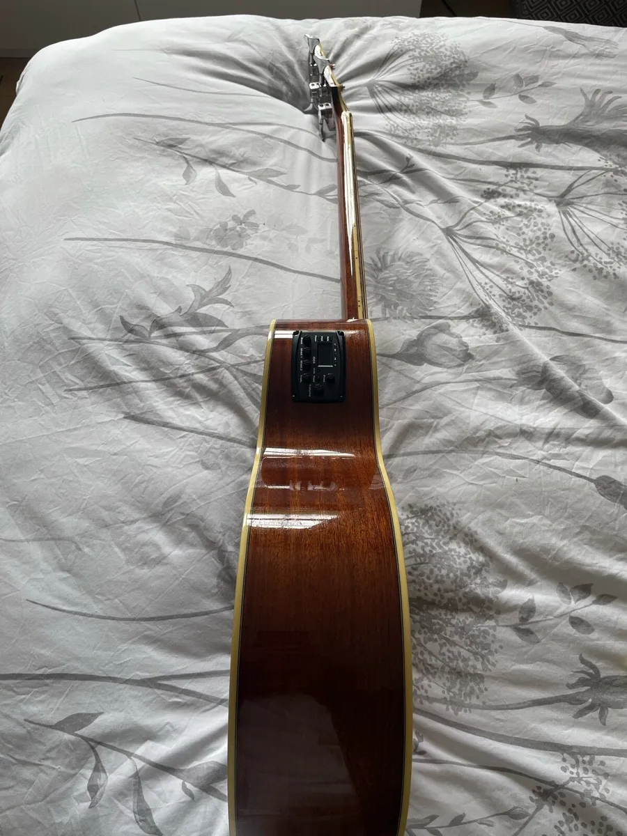 Richwood Artist Series Acoustic Bass Guitar - Image 3