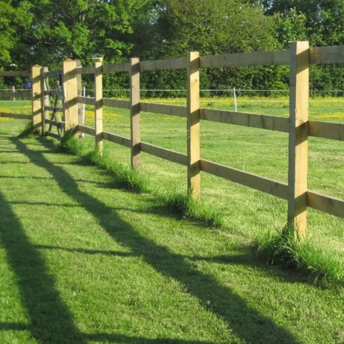 Fencing - Image 2