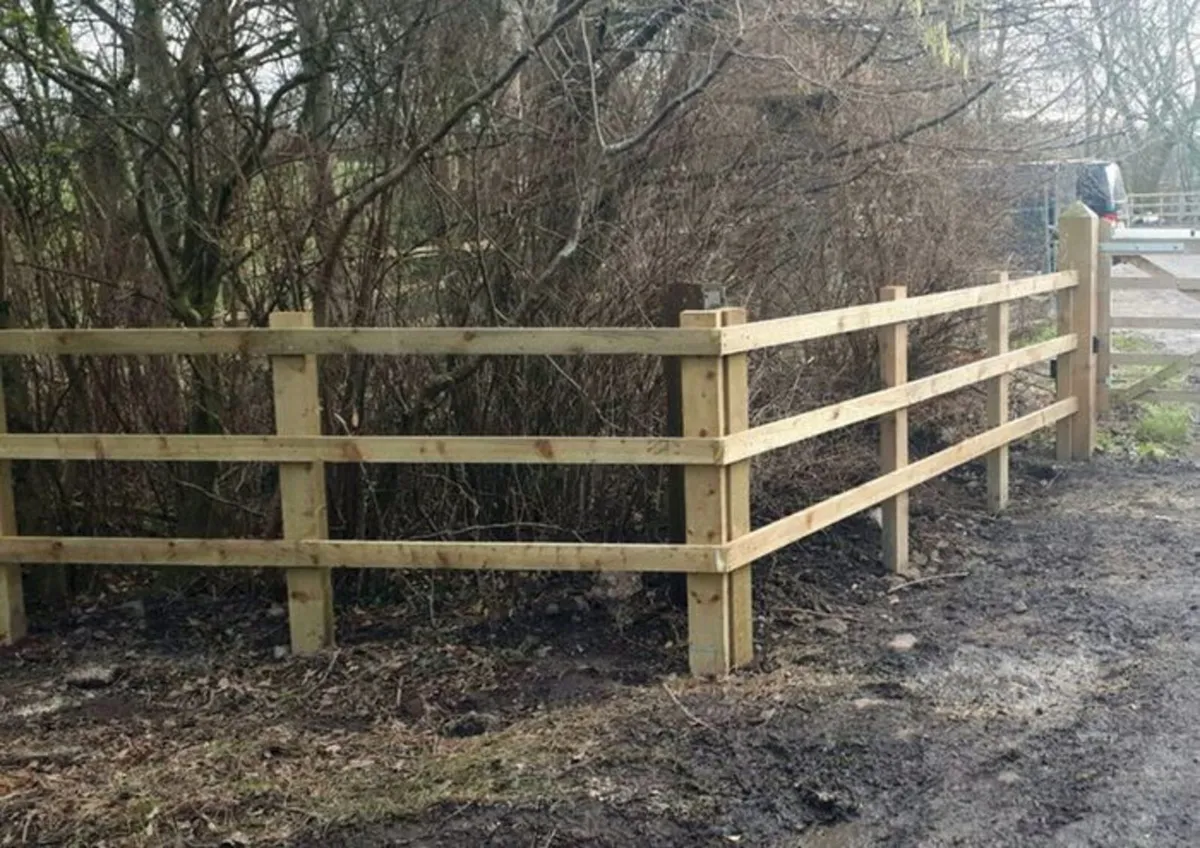 Fencing - Image 3