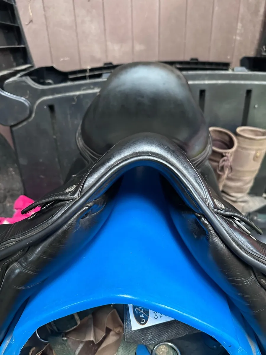 Amerigo Pinerolo Dressage Saddle 17in MW - Image 4