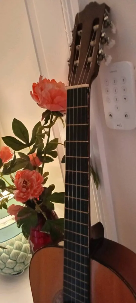 Guitar - Image 3