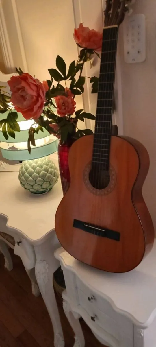 Guitar - Image 1
