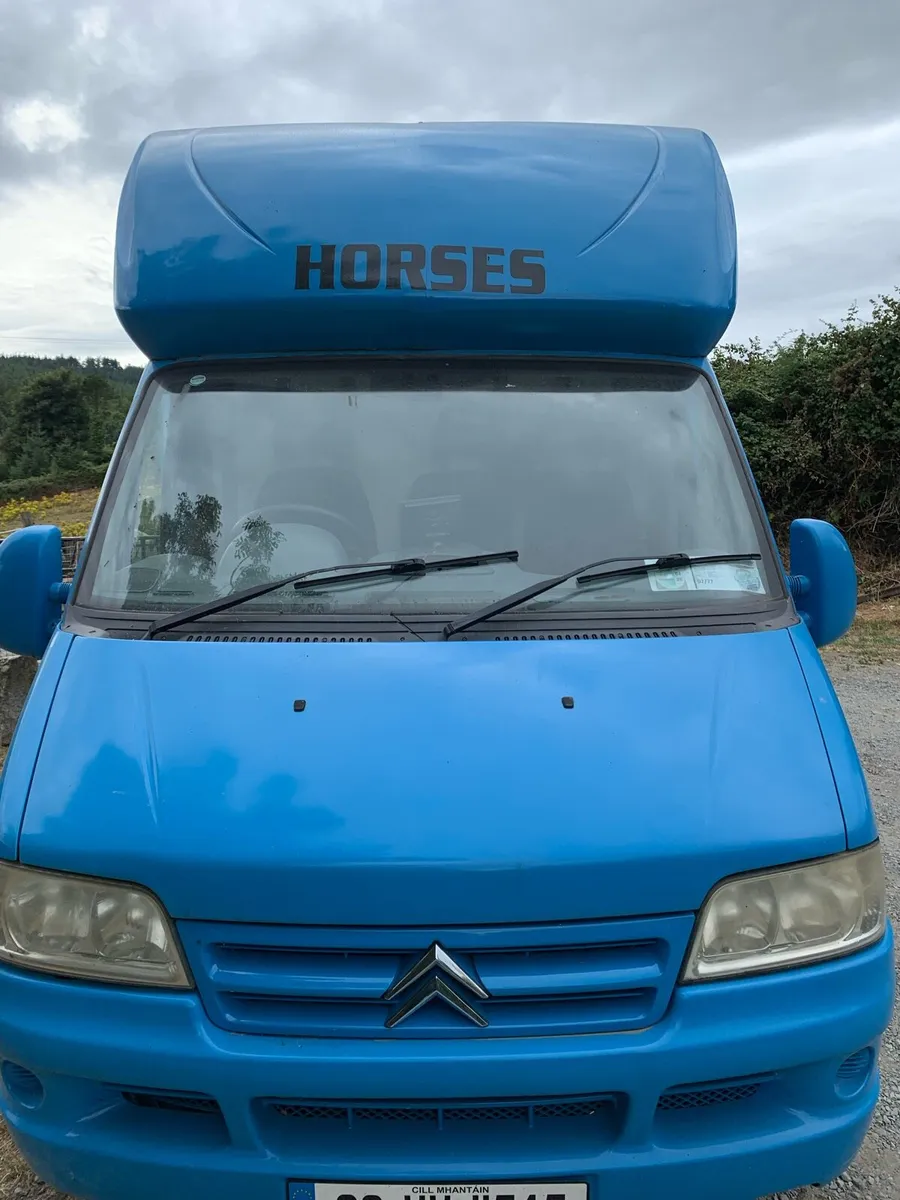 Citreon relay horse van - Image 3