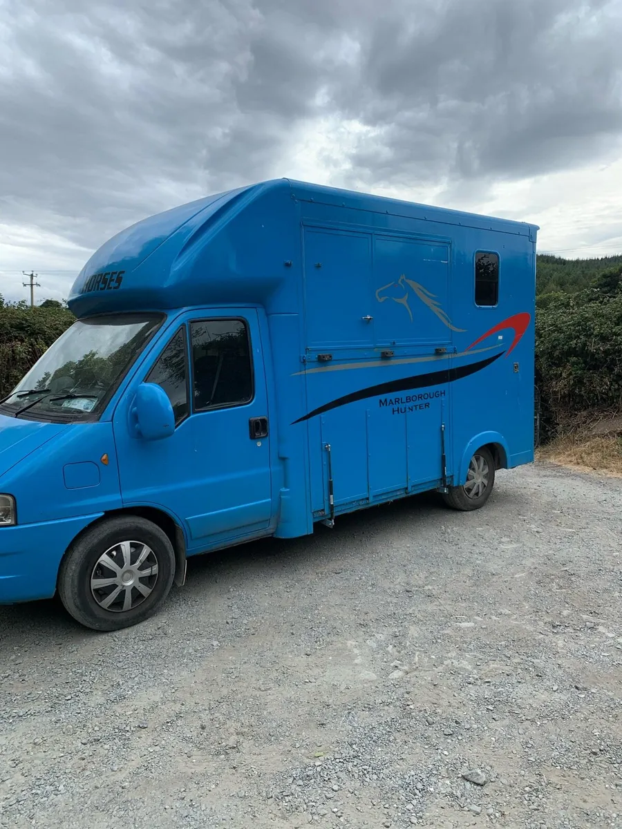 Citreon relay horse van - Image 1