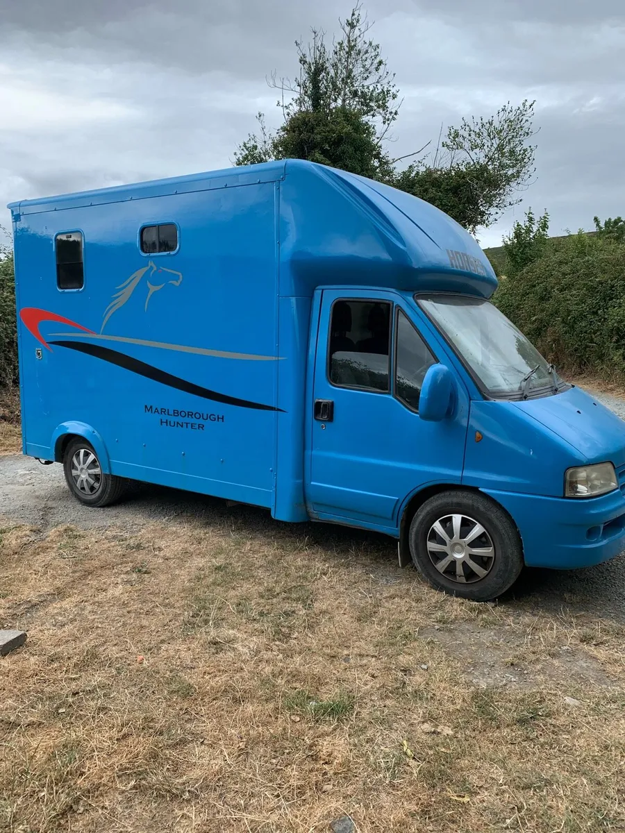 Citreon relay horse van - Image 2