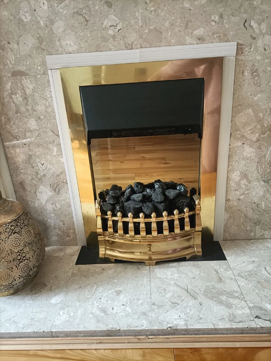 Electric Fire - Image 2