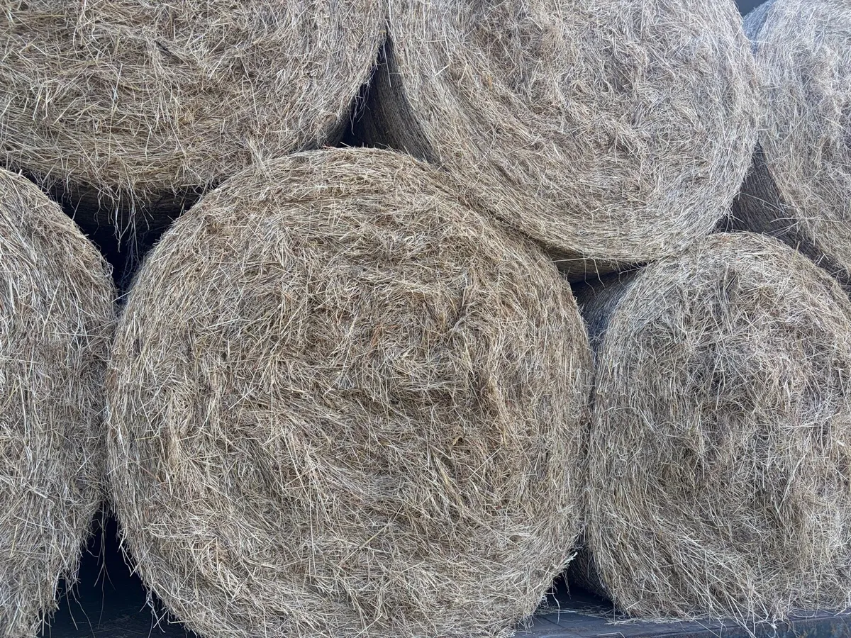 Round bales hay - Image 2