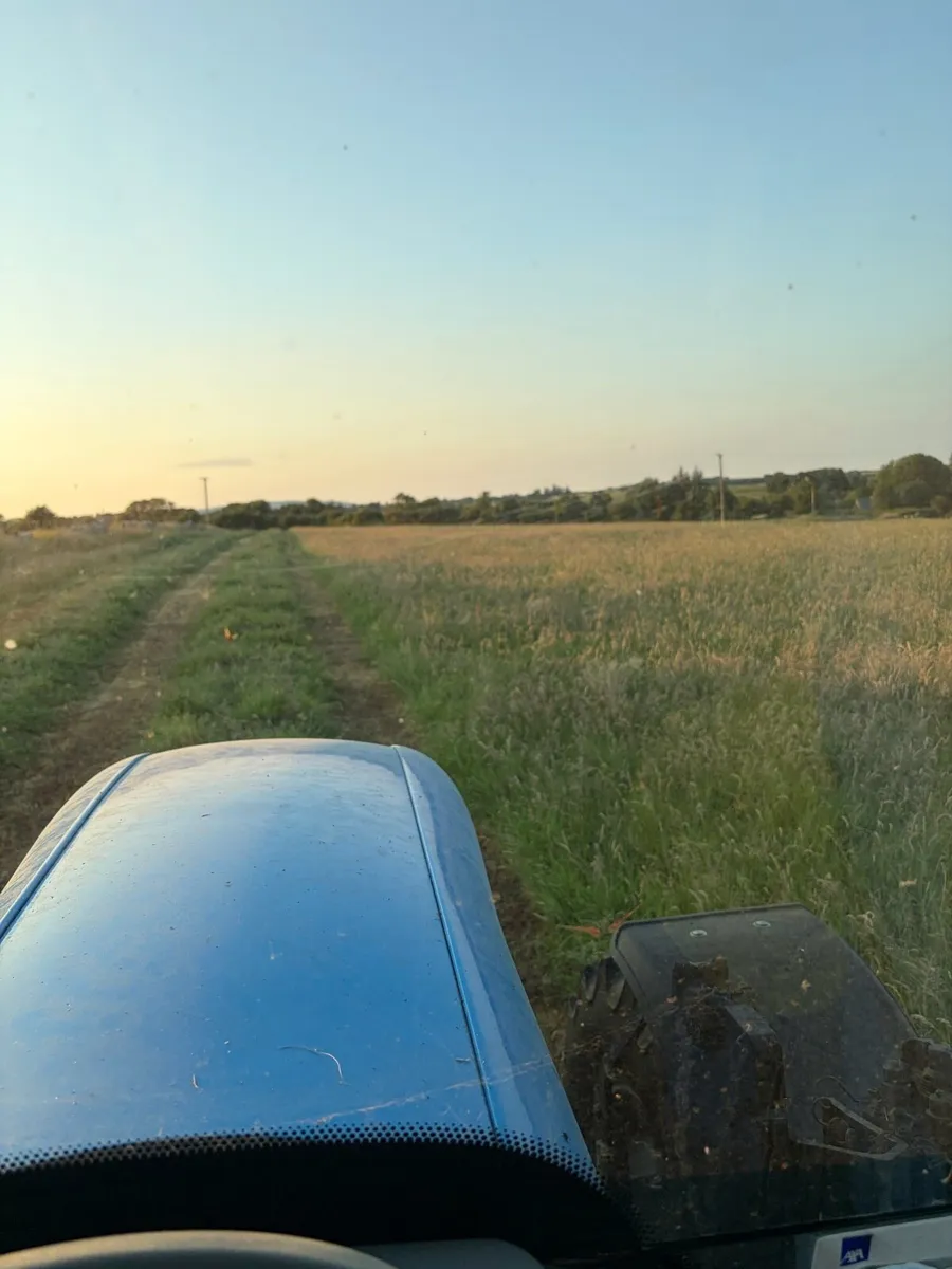 Round bales hay - Image 3