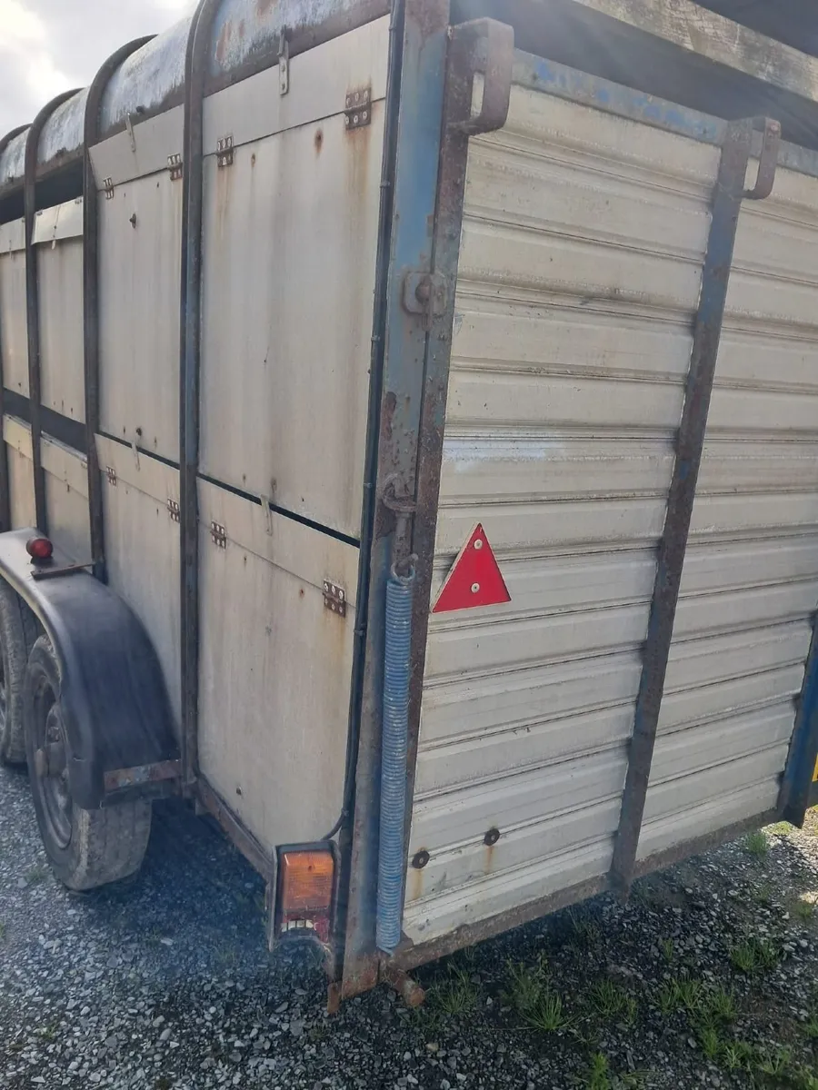 Cattle trailer - Image 4
