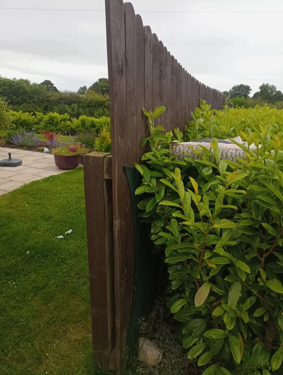 Garden Fence - Image 3