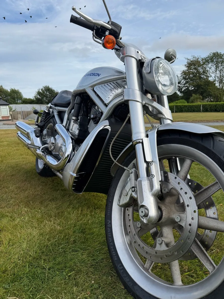 06 Harley - Davidson street rod (vrscr) 9,600km - Image 1