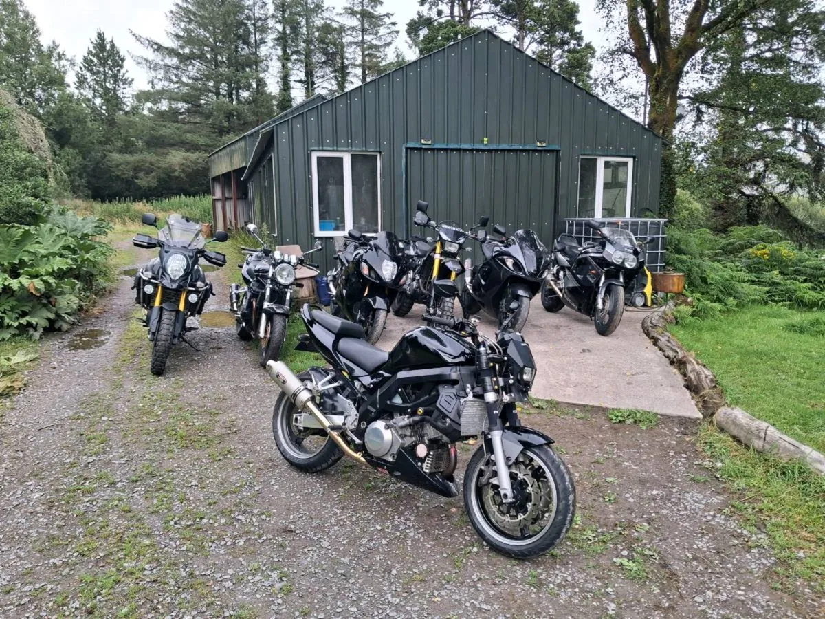 Suzuki sv1000 tl1000s tlr1000 naked /streetfigher - Image 2