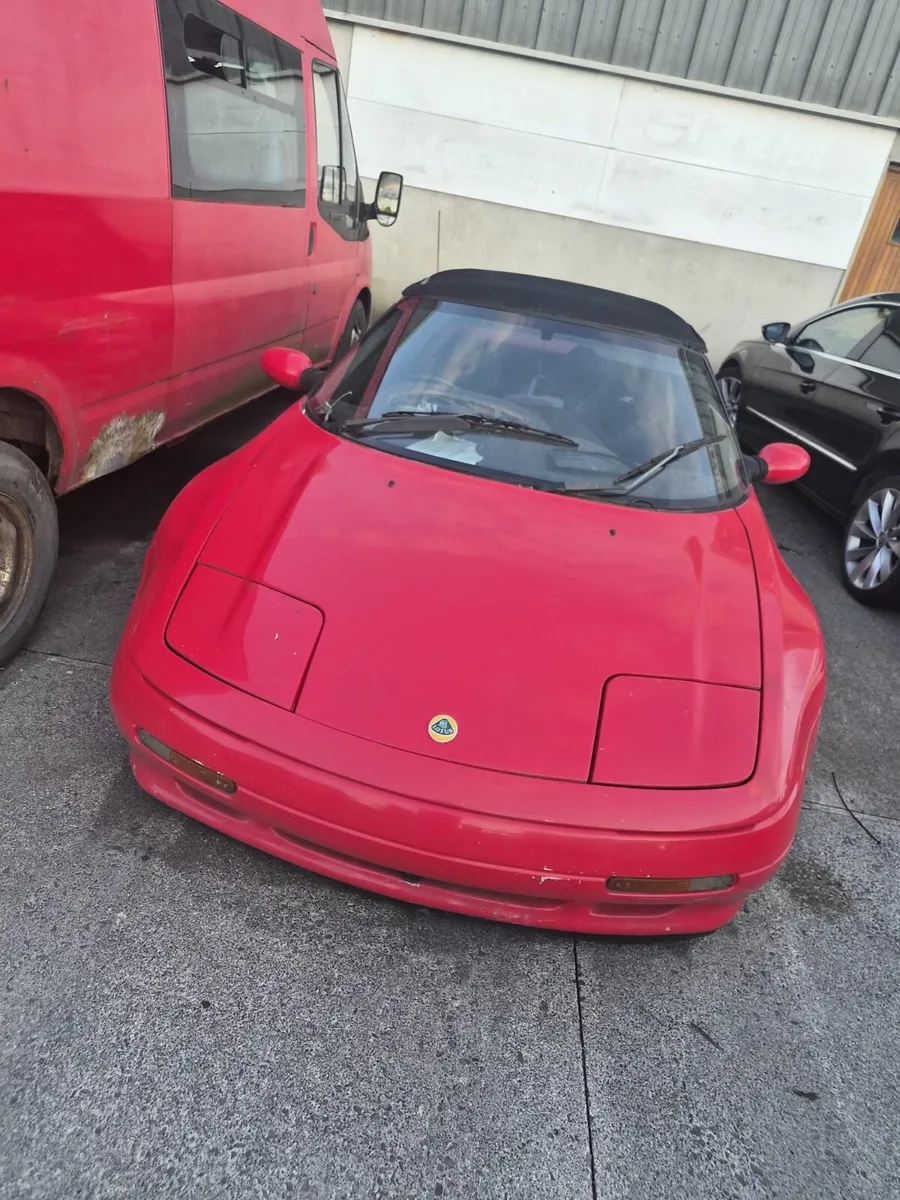 Lotus - Image 2