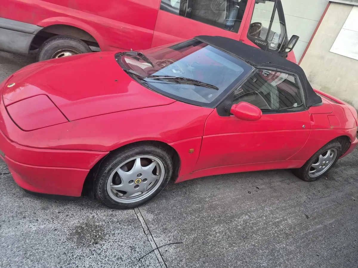 Lotus - Image 1