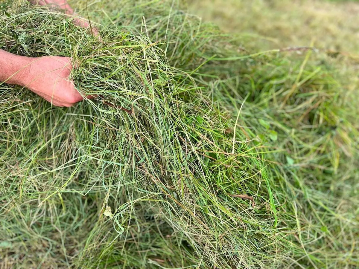 Silage Bales - County Clare - Image 2