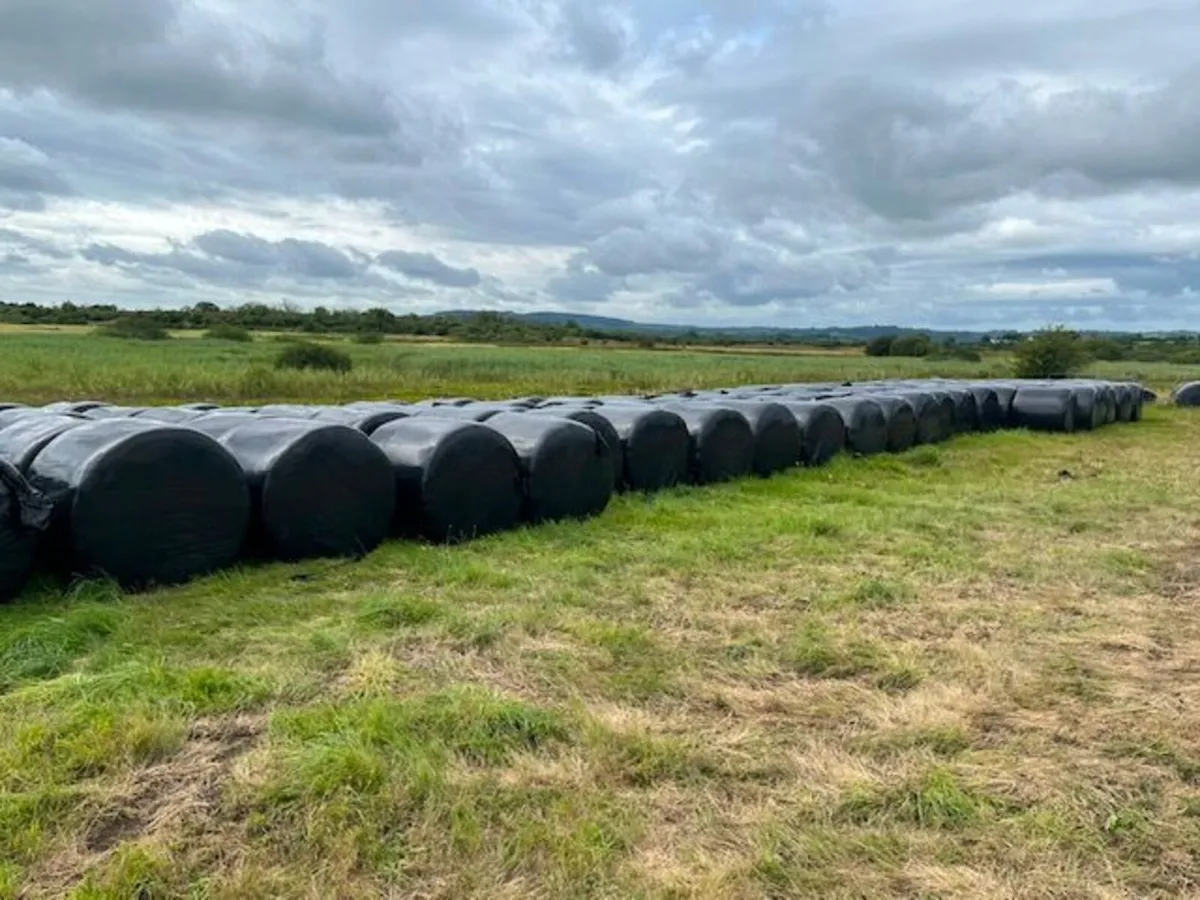 Silage Bales - County Clare - Image 3