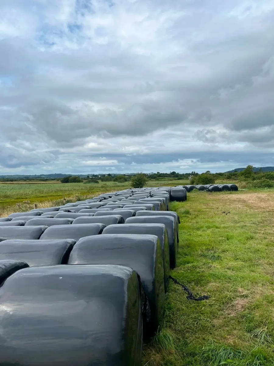 Silage Bales - County Clare - Image 1