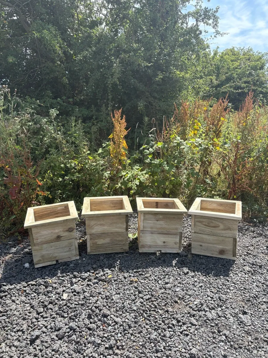 Plant pots - Image 2