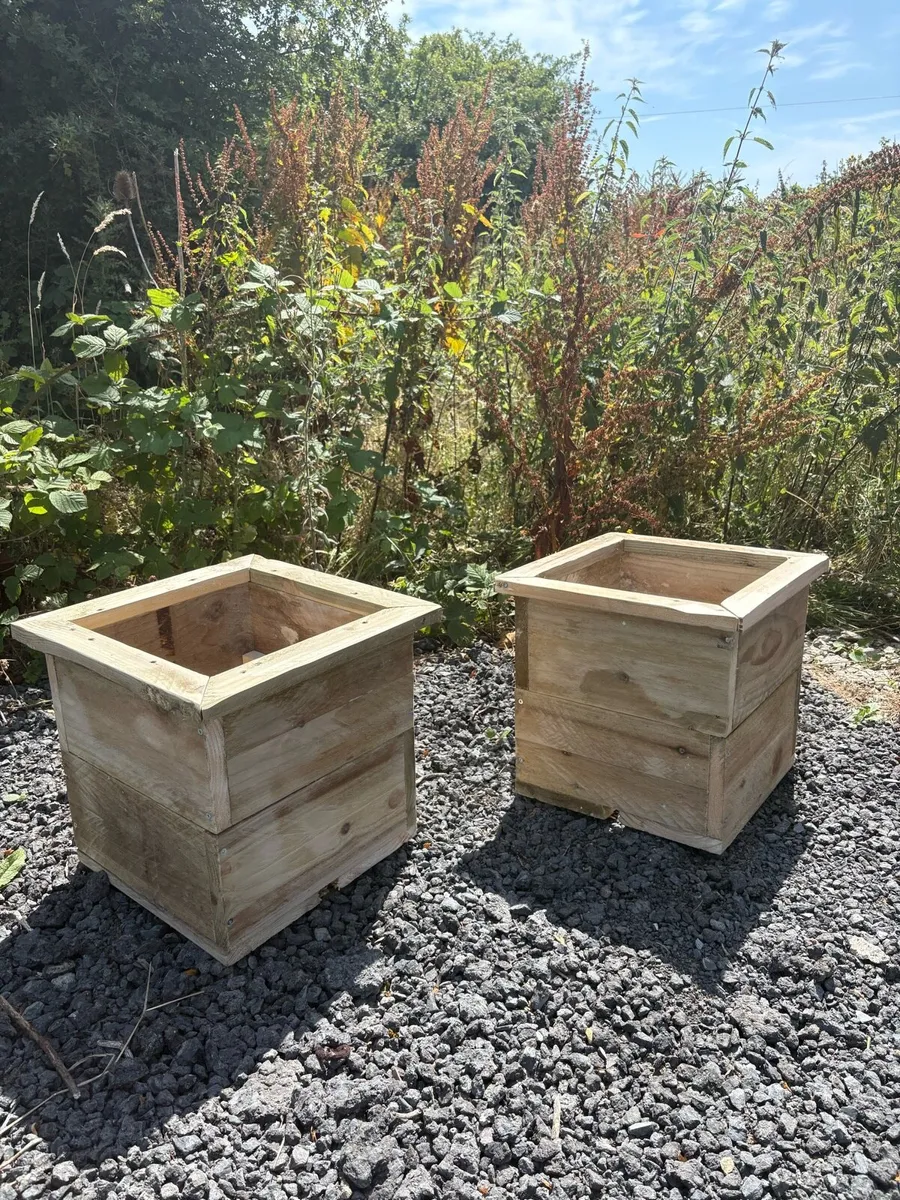Plant pots - Image 4