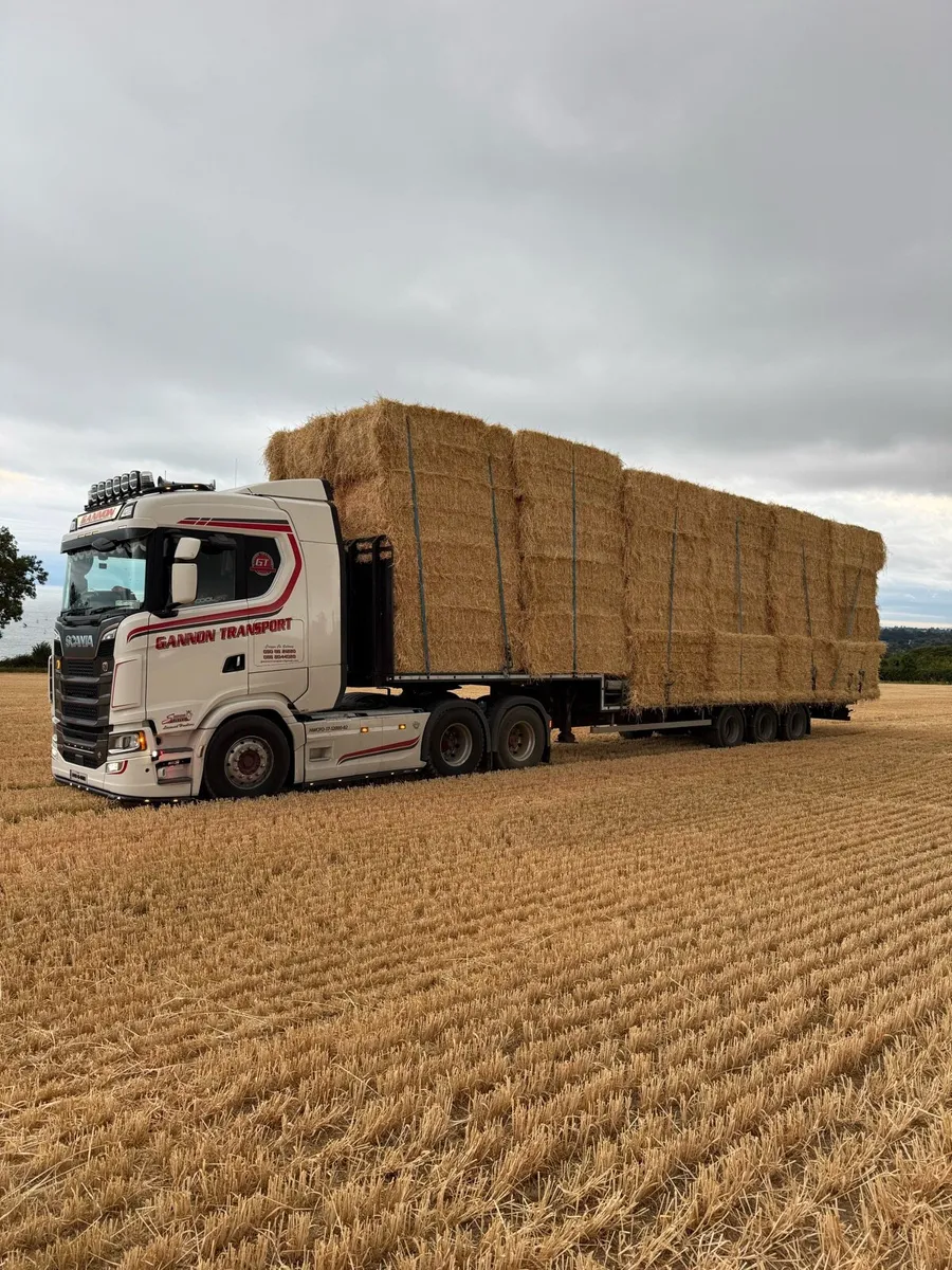 Barley 8x4x3 - Image 1