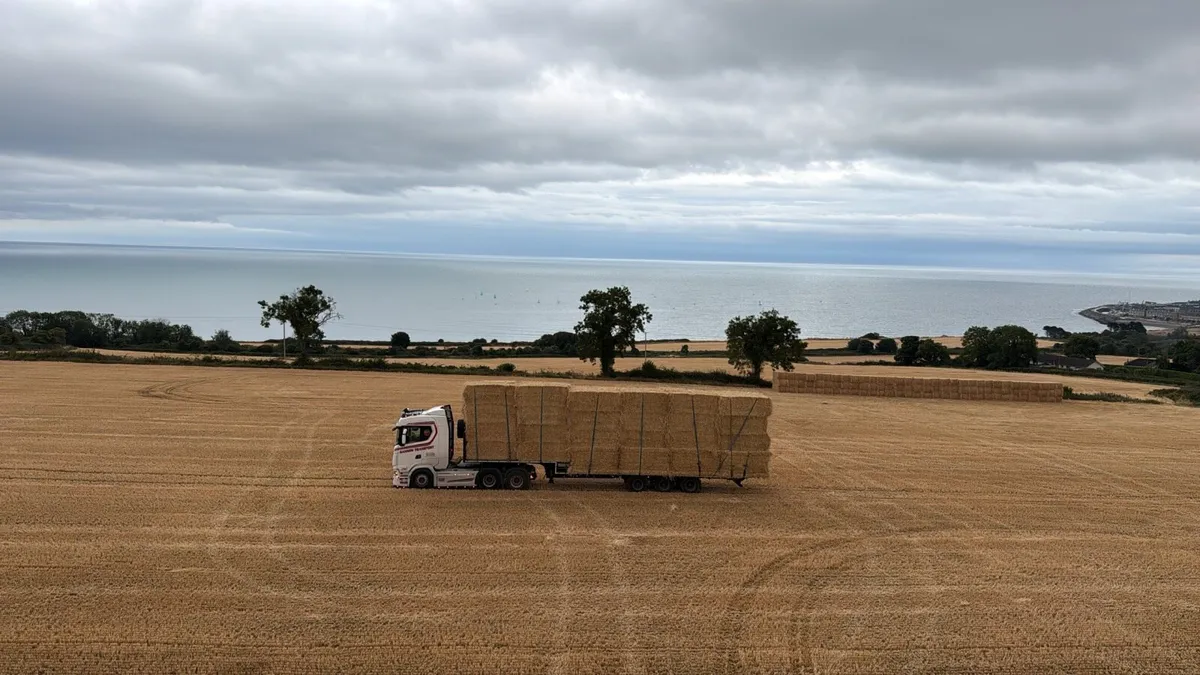Barley 8x4x3 - Image 2