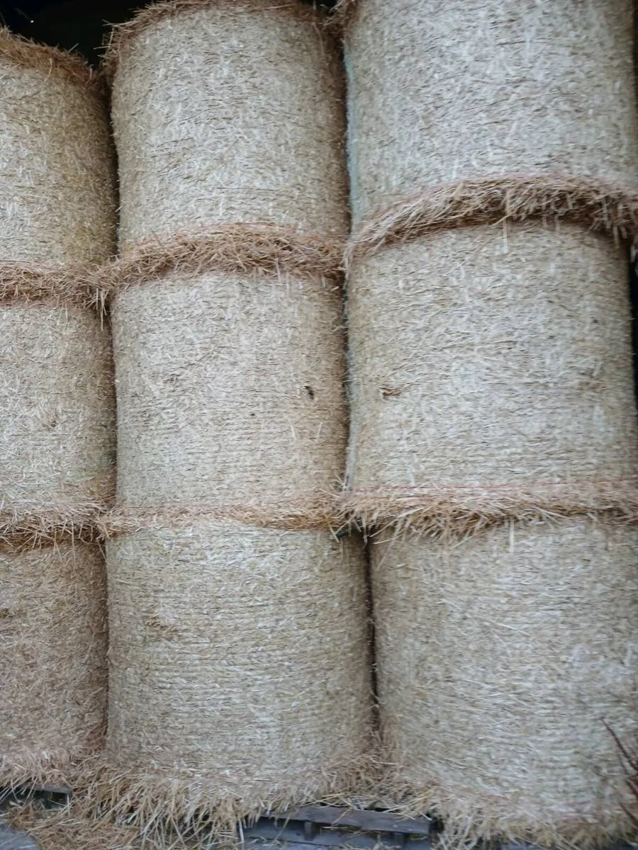 Straw - Image 1