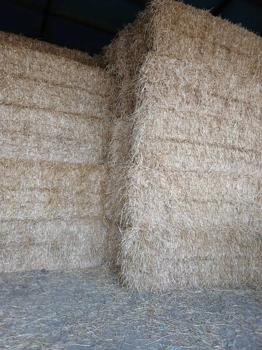 Straw - Image 2